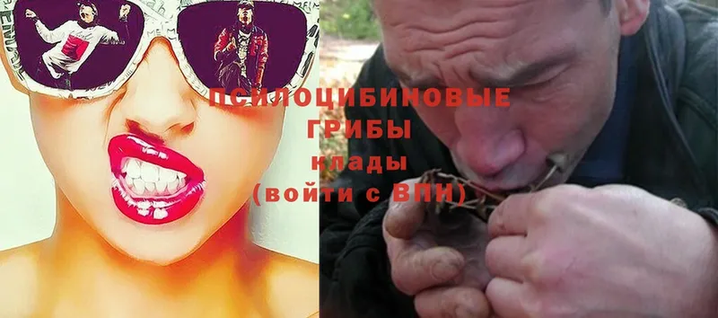 Галлюциногенные грибы Psilocybe  это телеграм  Нерюнгри 